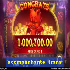 acompanhante trans de santos